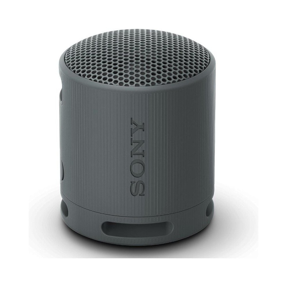Altavoz Portable con Bluetooth Sony XB100/ 2.0/ Negro